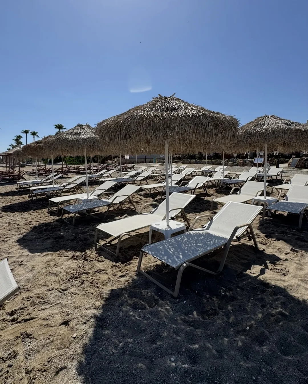 Rows of sun loungers under straw umbrellas on the sand